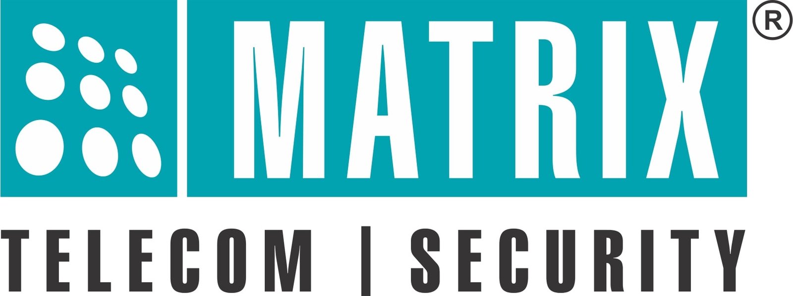 Matrix Logo